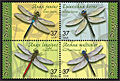 Dragonfly Stamps