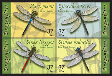 Dragonfly Stamps