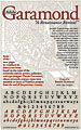 Garamond Type Poster