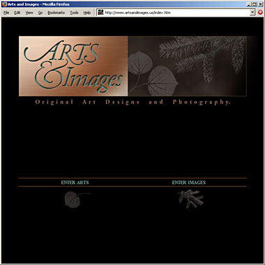 Arts and Images Website